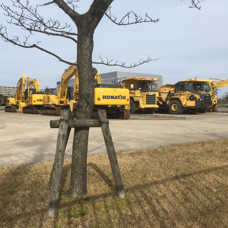 88993619_1639237396227204_4491673594111197184_o