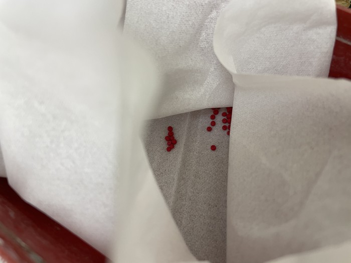 B0002F49-6794-4302-9069-263EACFBE814