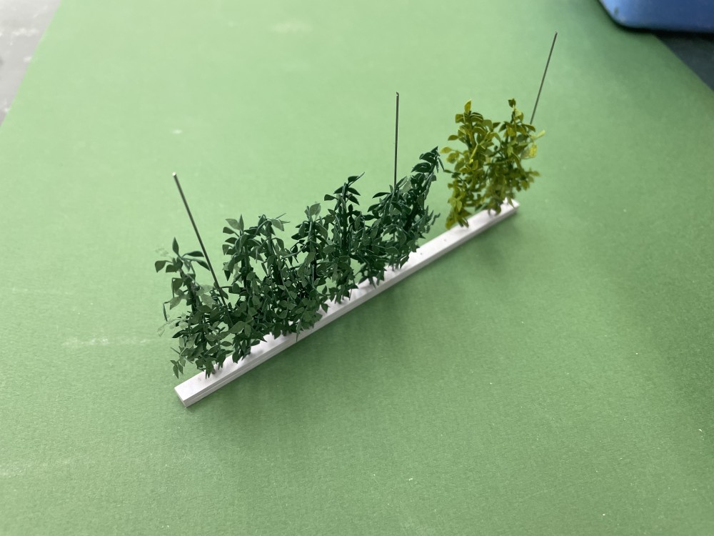 35BC050C-8142-4BA7-BA3F-3824BCFEBAA1