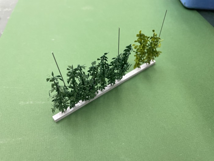 35BC050C-8142-4BA7-BA3F-3824BCFEBAA1