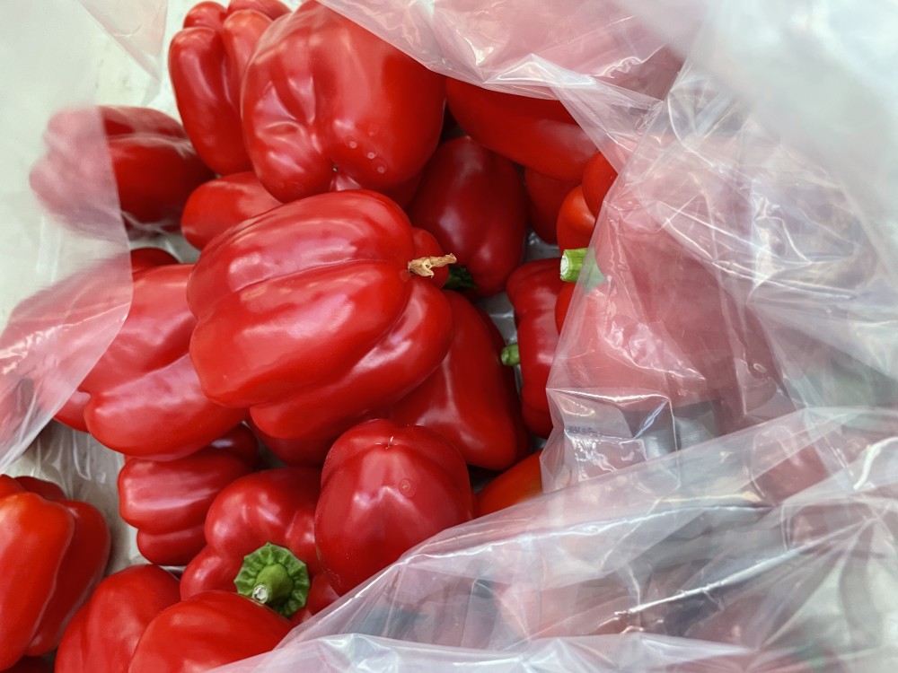 7423ED99-A0DD-48B6-A003-D402B7E536E1