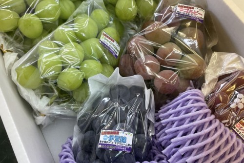 0B090355-D8FE-4D5D-8532-C2F5170612AF