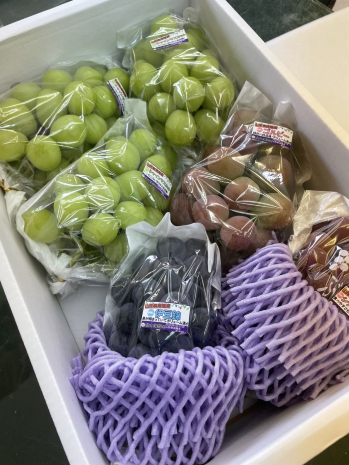 0B090355-D8FE-4D5D-8532-C2F5170612AF