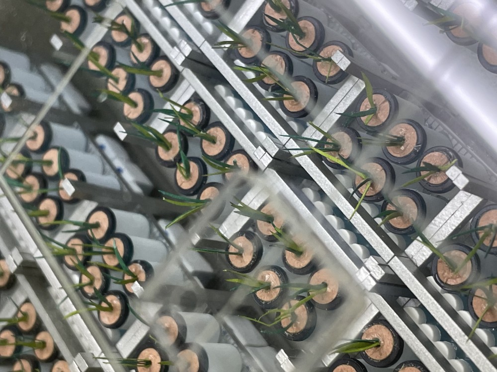 0928B512-3EAA-4EBB-B10B-46837D7AA035