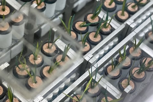 0928B512-3EAA-4EBB-B10B-46837D7AA035