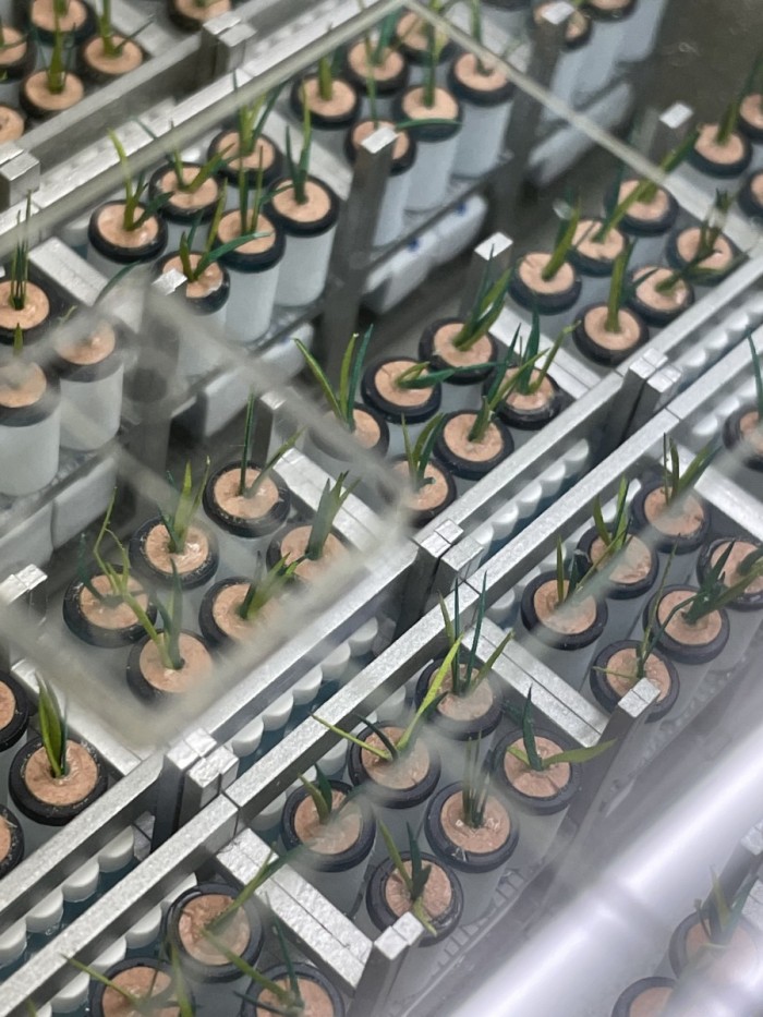 0928B512-3EAA-4EBB-B10B-46837D7AA035