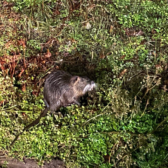 4EEE64AB-64AC-4831-B4BF-8C965971A874