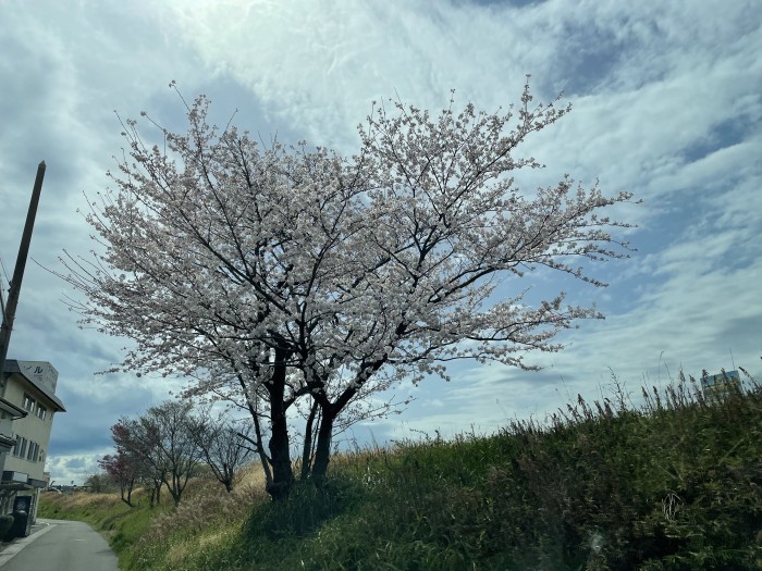 5525713D-1B63-453F-8EF8-4EE258A8F8A4