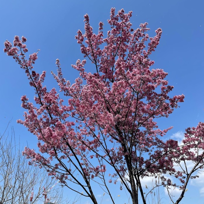 FCDCEEBC-8D06-44EE-8CA6-75E843018A5F