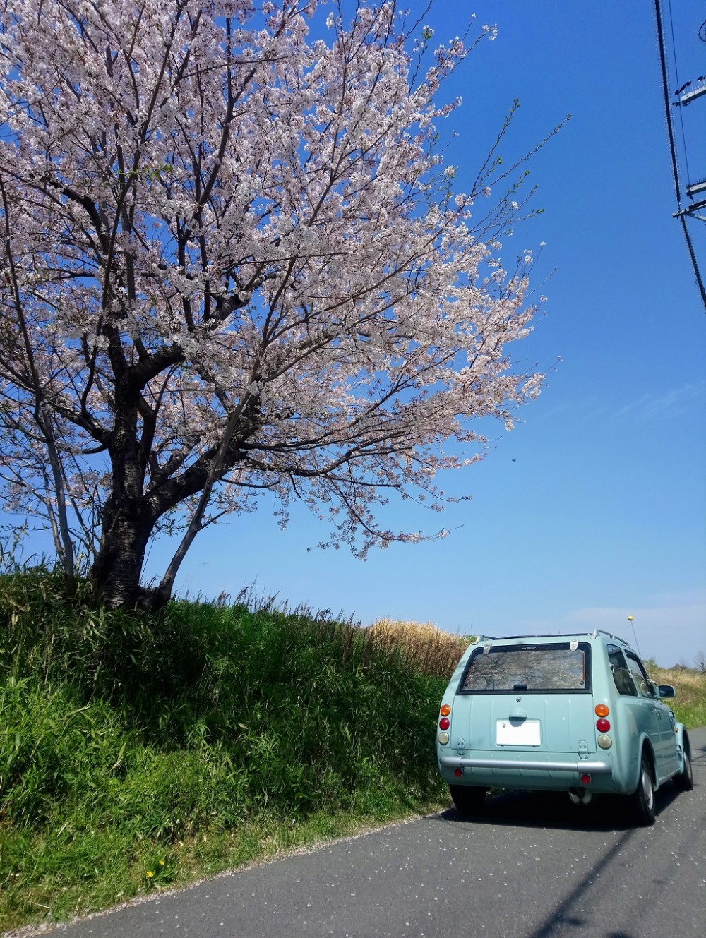 2D64055B-B243-4D0E-A8D1-9C9634871E36