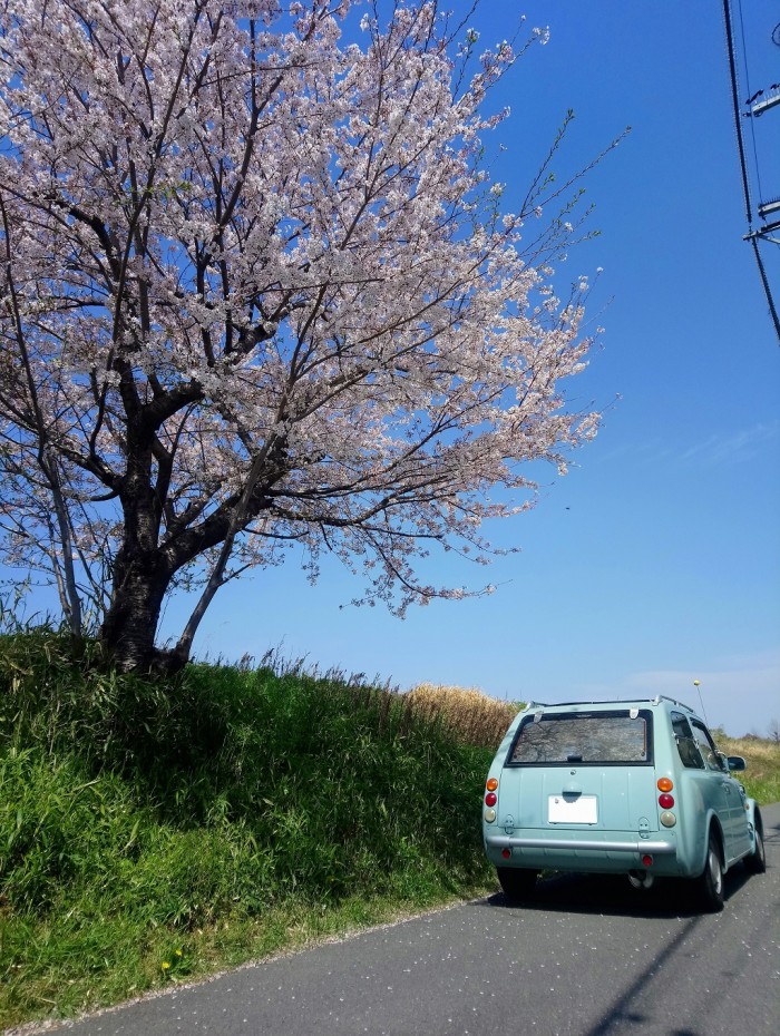 2D64055B-B243-4D0E-A8D1-9C9634871E36