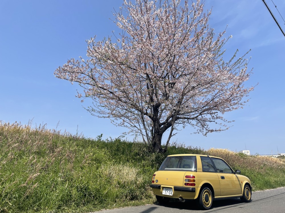 4E7264AD-1A24-47ED-9D1D-9CAC87E5F763