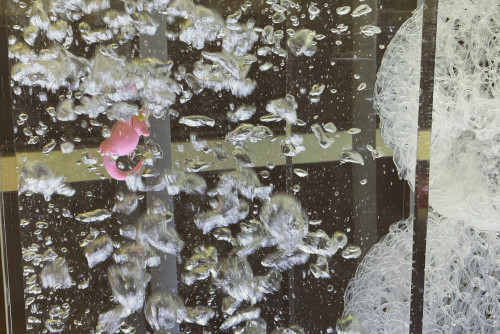 B4A962FD-C547-4771-A41D-A243F209CFE9