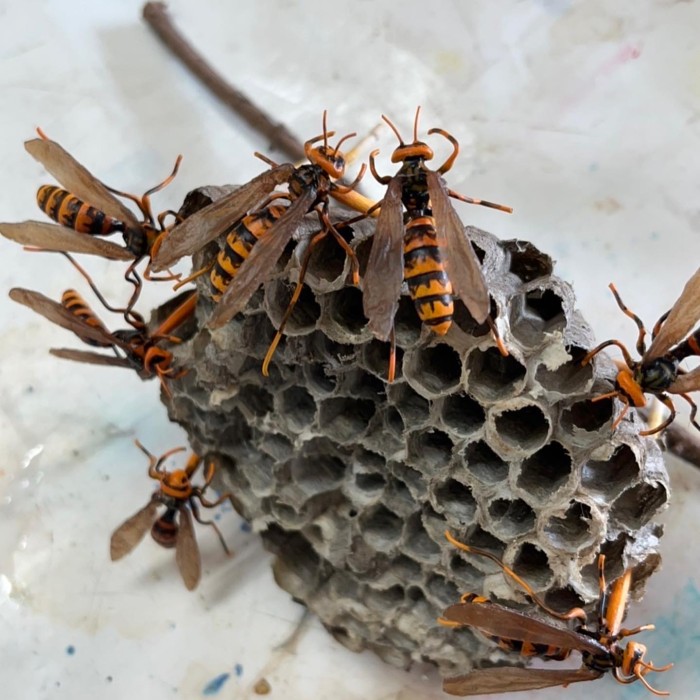 24E0390F-AE38-4C32-89C1-693D5873F482