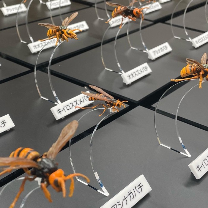 5EDB523C-9EEF-48CA-BA9C-58E7BD46F9BE