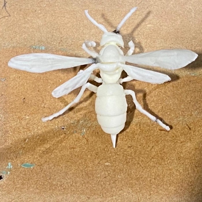 A52FCB05-D5F1-4270-85FB-3221890442DB