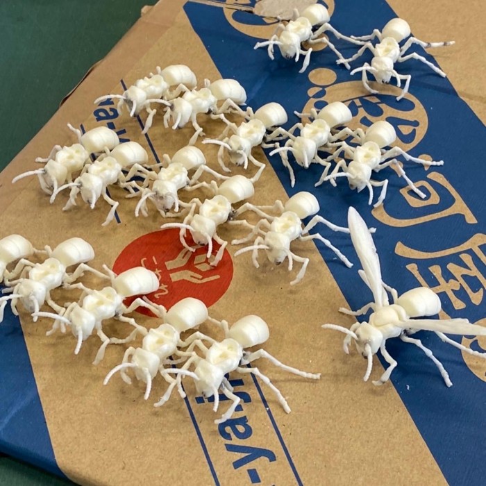 A7A37C46-5AF1-4ABF-97C8-82EDD235D92D