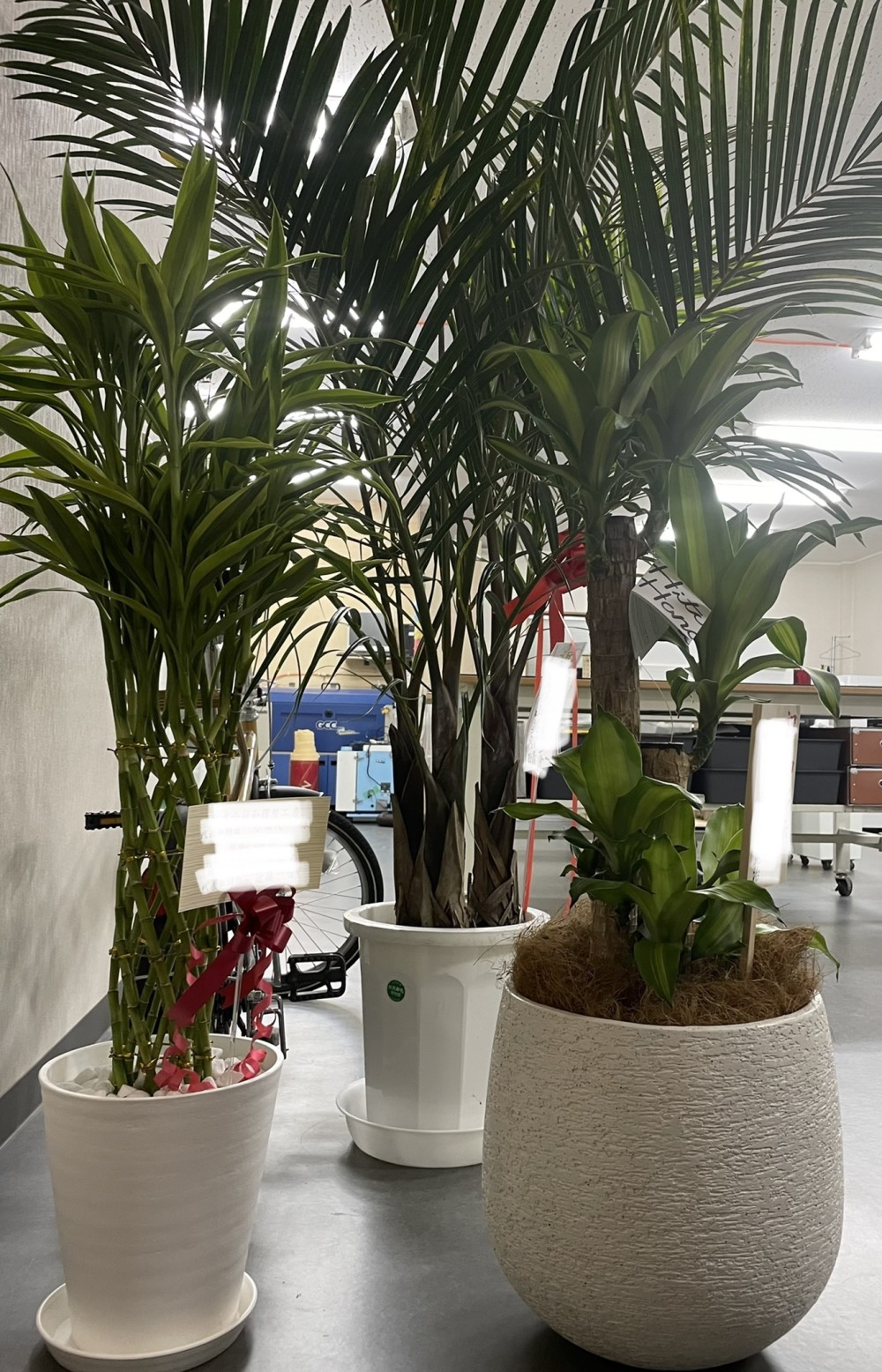 85B841D1-2197-4271-BDEE-51DCF6E01546