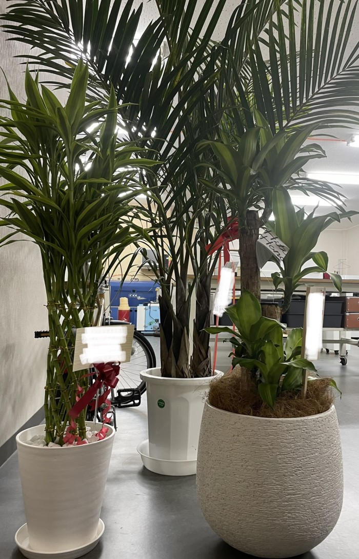 85B841D1-2197-4271-BDEE-51DCF6E01546