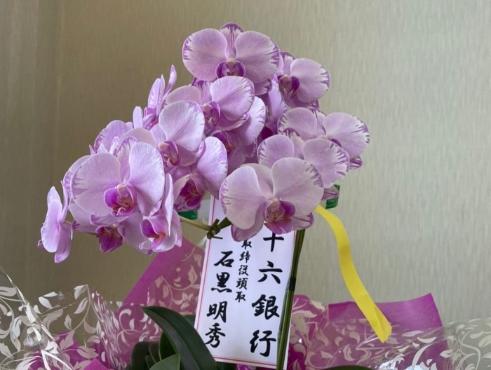 9ECA713C-1DB7-432F-9F7B-982B68A7FC66