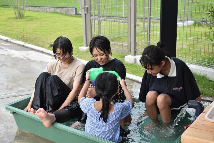 1C96D168-748F-458D-B385-434D2DE32C7F