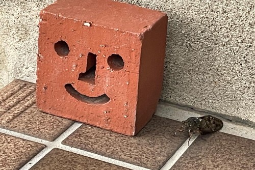 5AB58B8C-9EE9-40CF-AB25-C4511DBC54F1