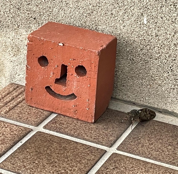 5AB58B8C-9EE9-40CF-AB25-C4511DBC54F1