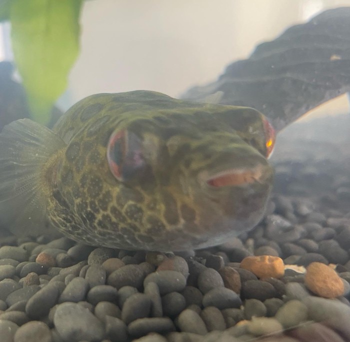 71560551-3E30-49AE-9244-4107D5CAAC8D