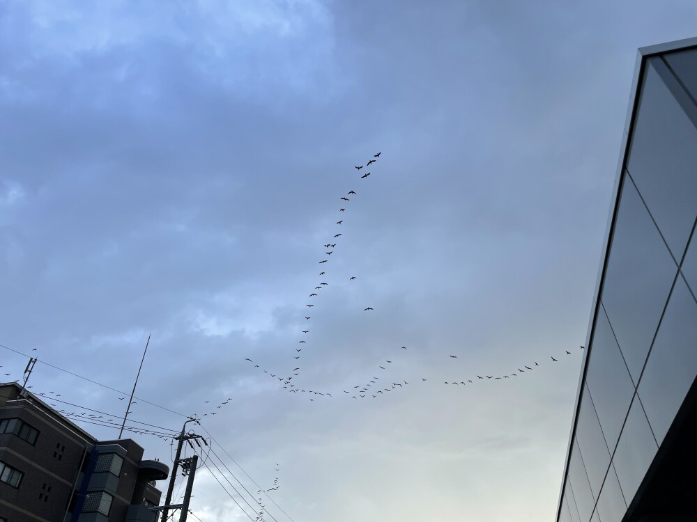 151460A2-FE8C-4656-AF8A-8EA91E576510