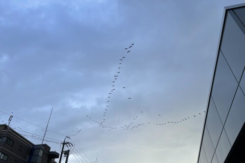 151460A2-FE8C-4656-AF8A-8EA91E576510