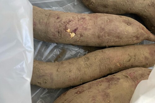 1C404099-EA24-4BED-BF82-6876015CC2EF