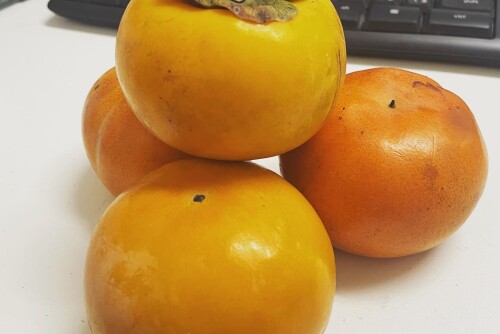 AAAF8438-ADA0-439E-9535-61576ED50B00