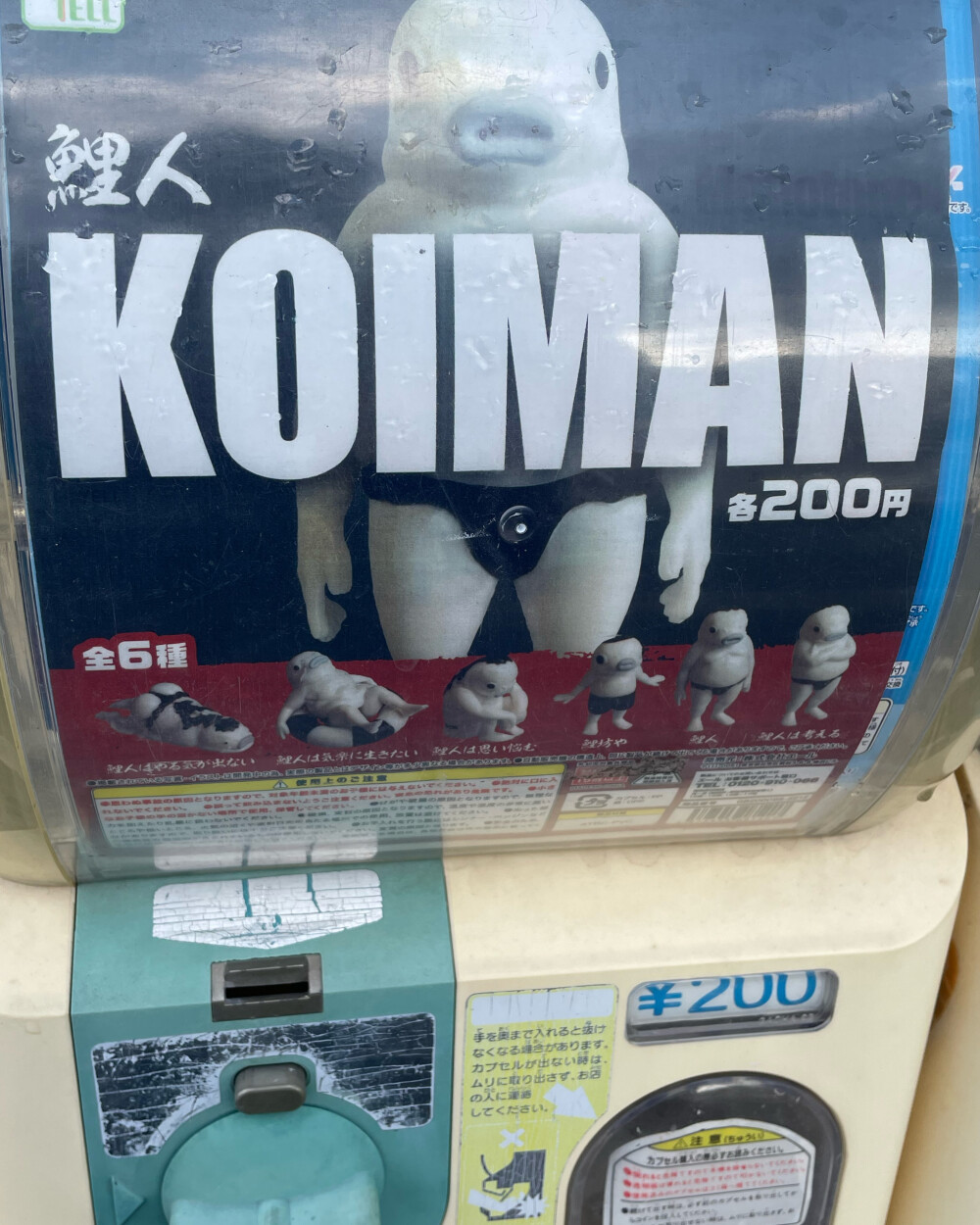 4B3E9C5B-A039-4B05-AA90-61A8F26B1EFA