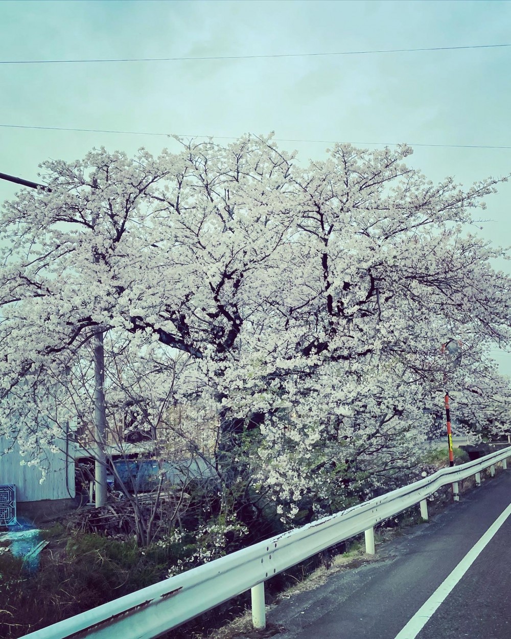 1F4582A1-21F5-47C1-A307-DACD59D81016