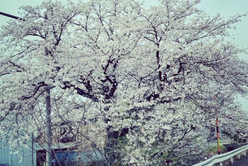 1F4582A1-21F5-47C1-A307-DACD59D81016