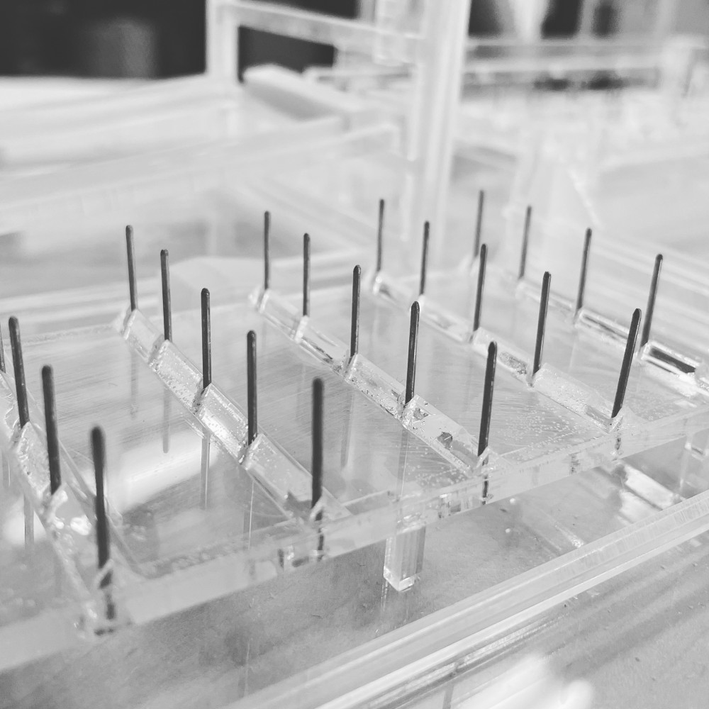 A7F72151-7E5B-4C16-8787-61A266ACEEDF