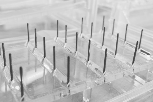 A7F72151-7E5B-4C16-8787-61A266ACEEDF