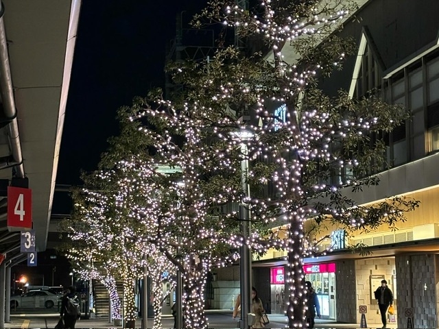 C19B959B-AF6F-4367-BB4E-A2C04080A4C8