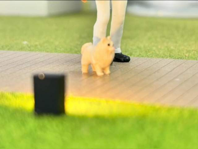 541A418F-A420-4B14-9690-C4904E59EBB3